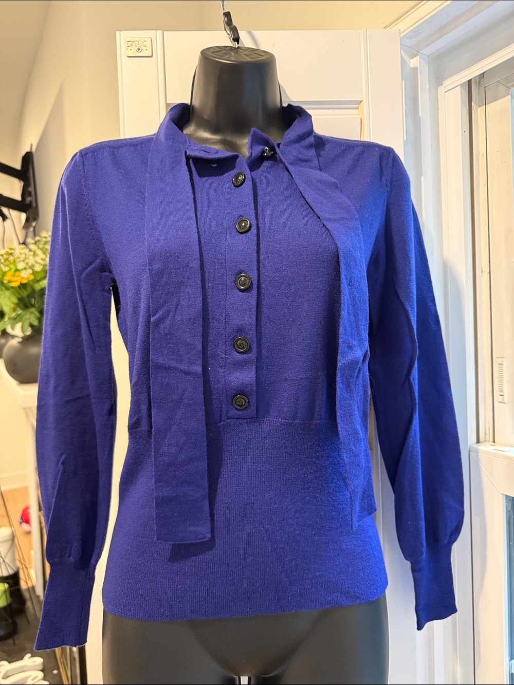 Banana Republic Royal Blue Button-Up Tie-Neck Sweater